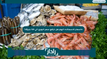 «أسعار الأسماك» اليوم هل ارتفع سعر البوري إلى 120 جنيهًا؟